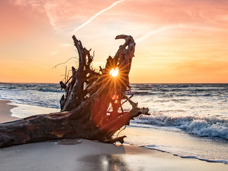 Ein Baumstamm in der Brandung an einem Sandstrand mit der untergehenden Sonne im Hintergrund als Titelbild der Psychodynamische Tage Langeoog 2026: Fachtagung & Weiterbildungsveranstaltung Psychotherapie, Psychiatrie, Psychodynamik der Albertinen Akademie Hamburg Ein Baumstamm in der Brandung an einem Sandstrand mit der untergehenden Sonne im Hintergrund als Titelbild der Psychodynamische Tage Langeoog 2026: Fachtagung & Weiterbildungsveranstaltung Psychotherapie, Psychiatrie, Psychodynamik der Albertinen Akademie Hamburg